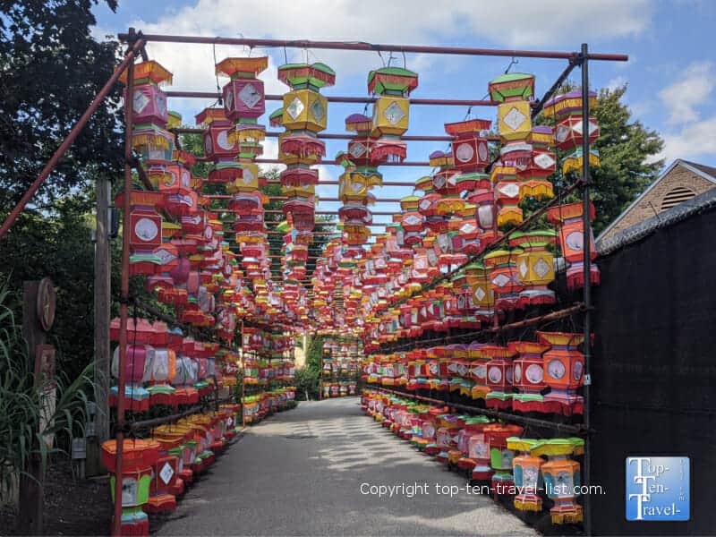 Asian Lantern festival at the Cleveland Metroparks Zoo