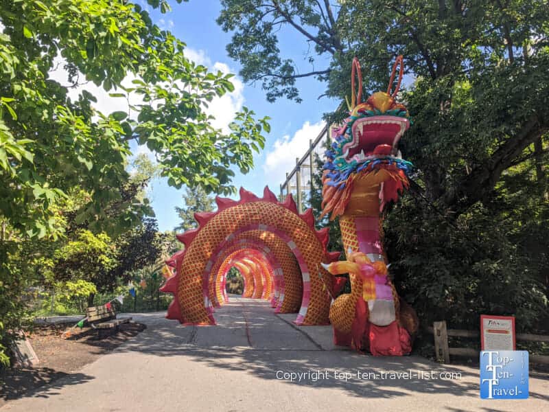 Dragon at the Asian Lantern festival in Cleveland