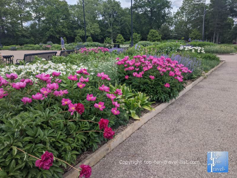 Flower garden at Highland Park in Pittsburgh, PA