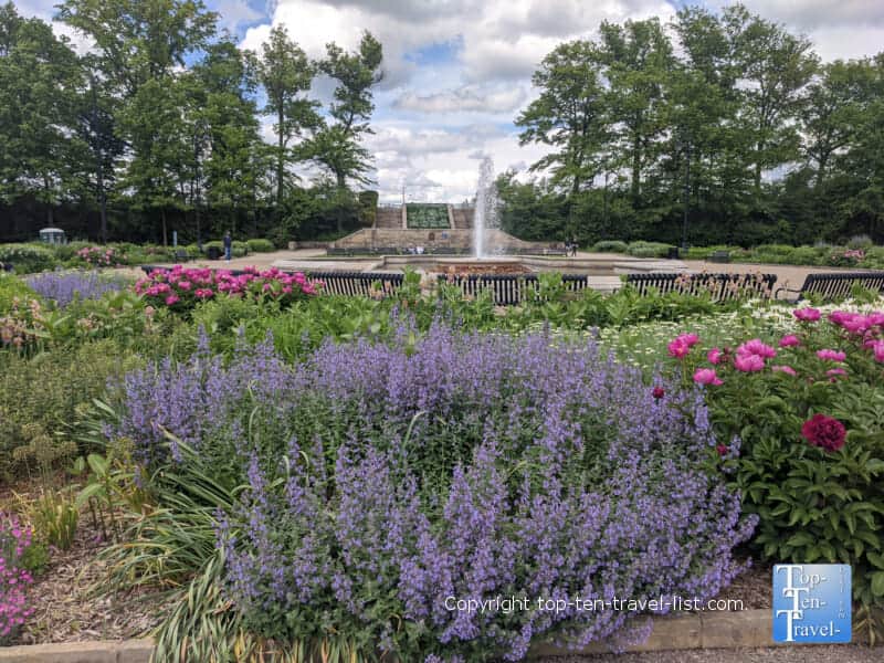 Beautiful flowers at Highland Park in Pittsburgh 