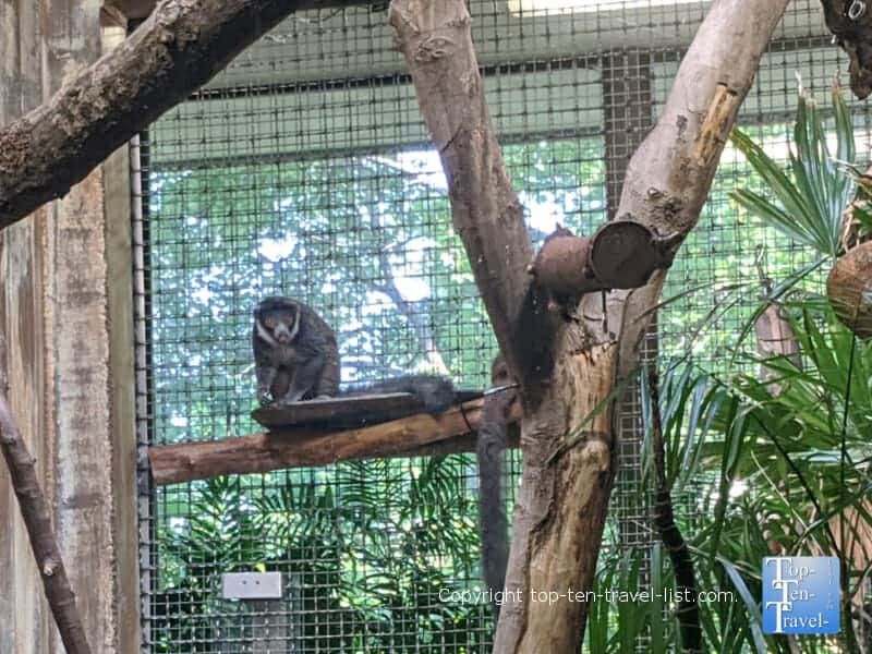 Primate house at the Cleveland Metroparks Zoo