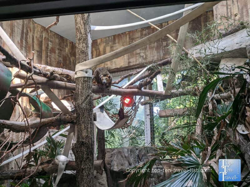 Primate house at the Cleveland Metroparks Zoo
