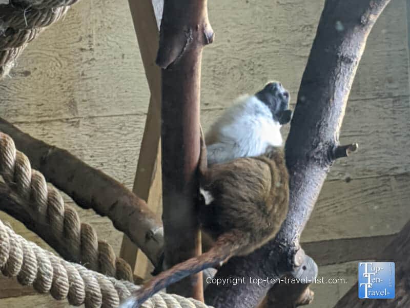 Primate house at the Cleveland Metroparks Zoo