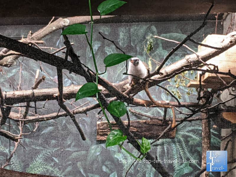 Primate house at the Cleveland Metroparks Zoo