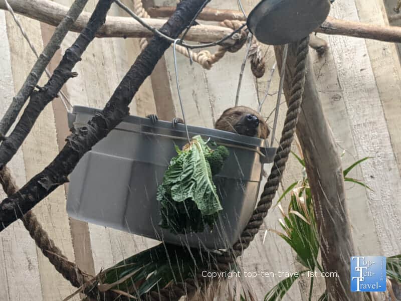 Primate house at the Cleveland Metroparks Zoo