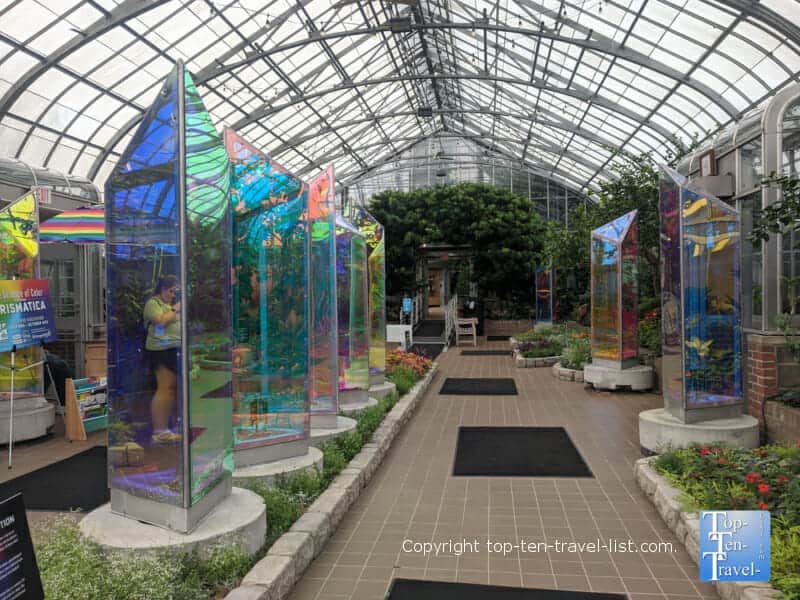 Prismatica at Krohn Conservatory in Cincinnati