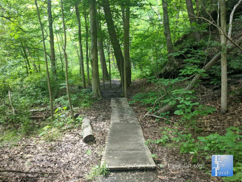 Shady trail at Settlers Cabin Park in Pittsburgh, PA