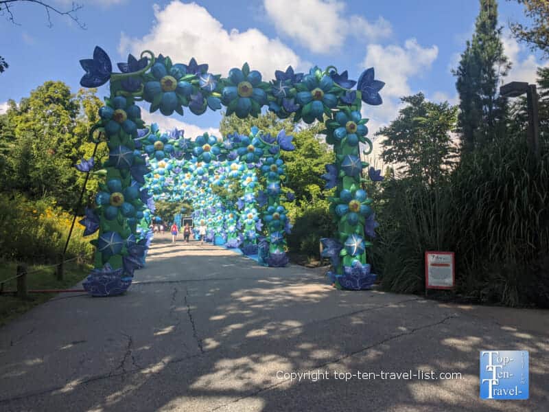 Asian Lantern festival at the Cleveland Metroparks Zoo