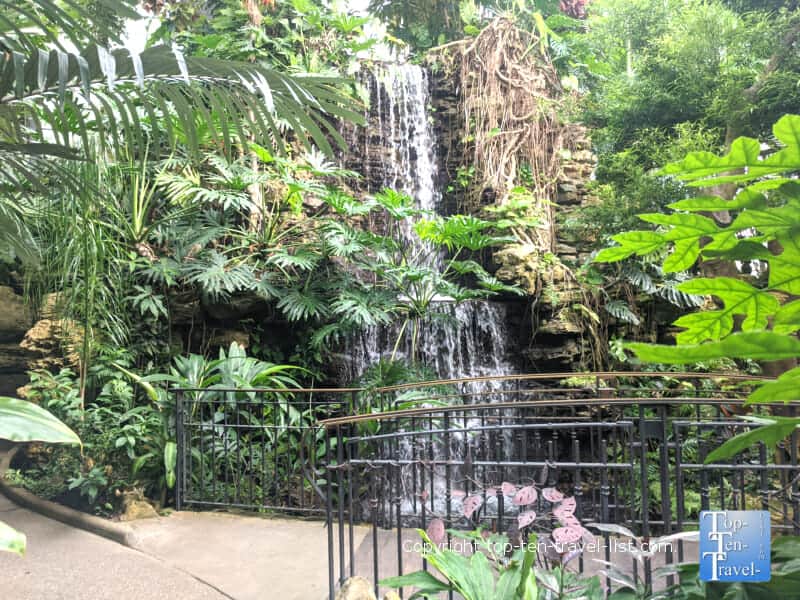 Waterfall at the Krohn Conservatory at Eden Park in Cincinnati