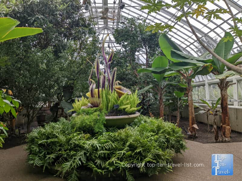 Beautiful garden at Phipps Conservatory in Pittsburgh, PA