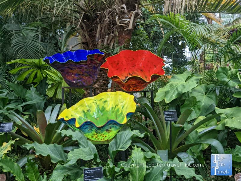 Beautiful flower Chihuly glass art at Phipps Conservatory in Pittsburgh