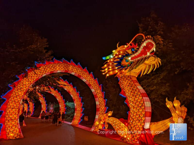 Chinese dragon display at the Asian Lantern Festival at the Pittsburgh Zoo