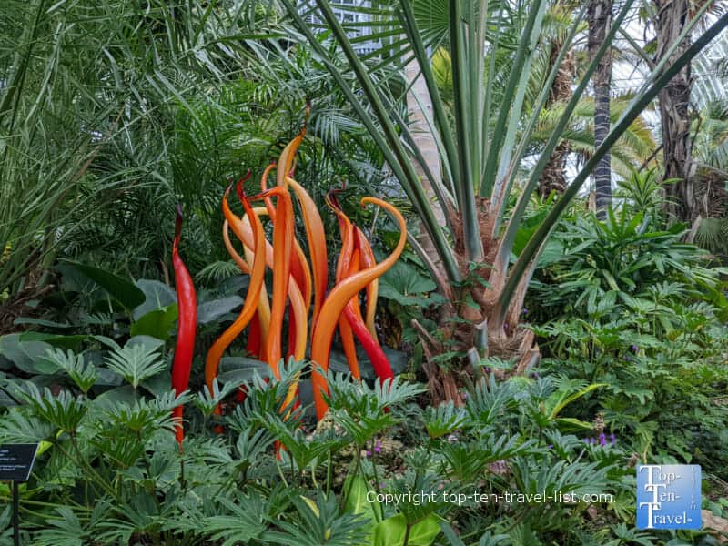 Beautiful Chihuly glass artwork at Phipps Conservatory in Pittsburgh