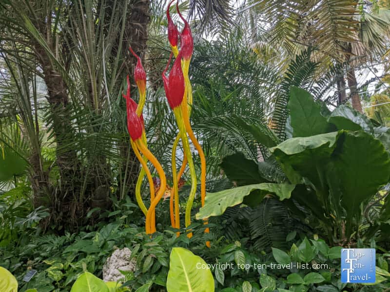 Colorful Chihuly art piece at Phipps Conservatory in Pittsburgh