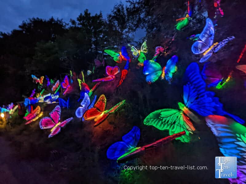 Colorful butterfly display at the Pittsburgh Zoo Asian Lantern Festival