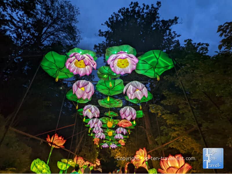 Colorful walkway at the Asian Lantern Festival at The Pittsburgh Zoo