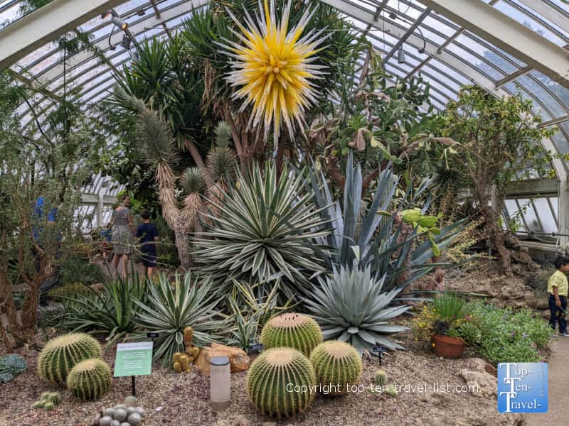 Desert garden at Phipps Conservatory in Pittsburgh