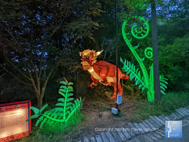 Dinosaur display at the Asian Lantern Festival at the Pittsburgh Zoo