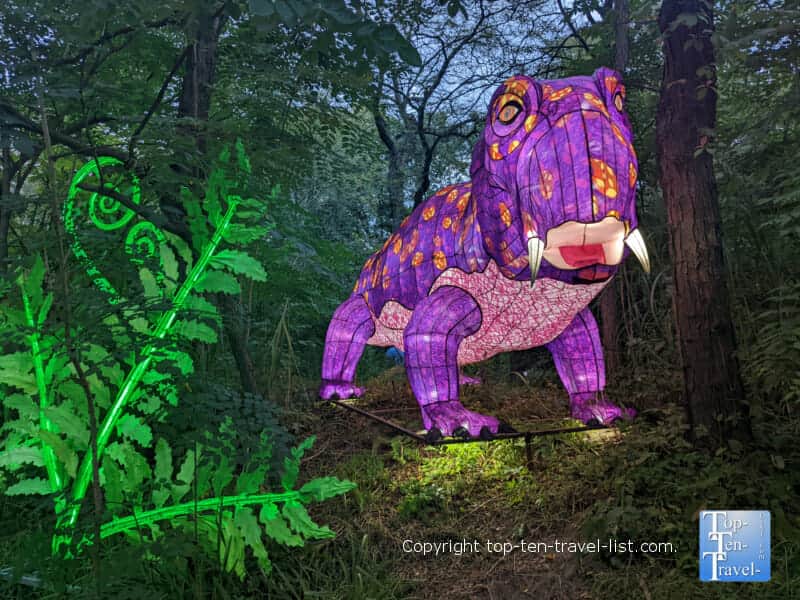 Dinosaur display at the Asian Lantern Festival at the Pittsburgh Zoo