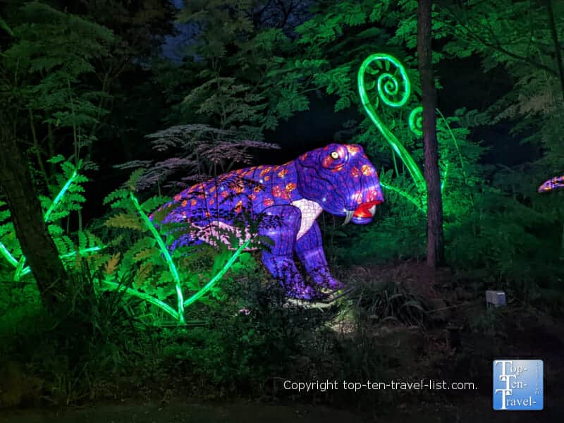Dinosaur display at the Asian Lantern Festival at the Pittsburgh Zoo
