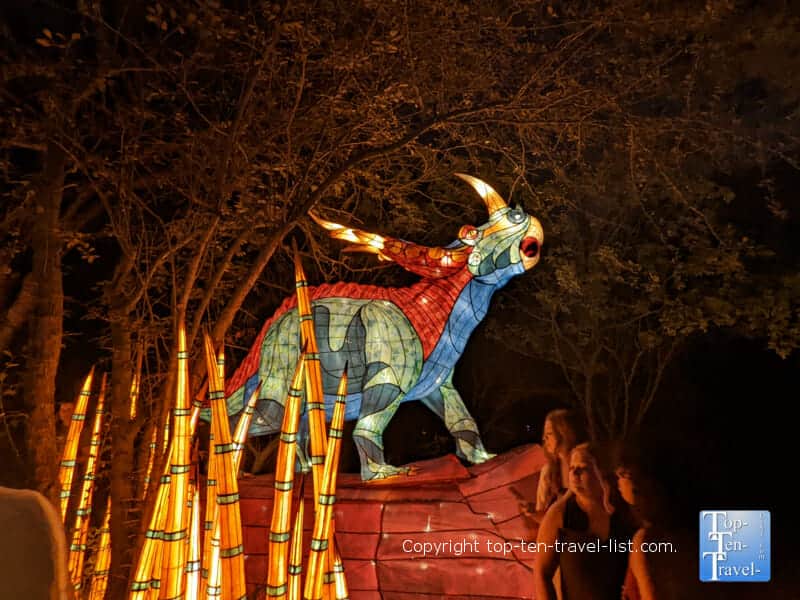 Dinosaur display at the Asian Lantern Festival at the Pittsburgh Zoo