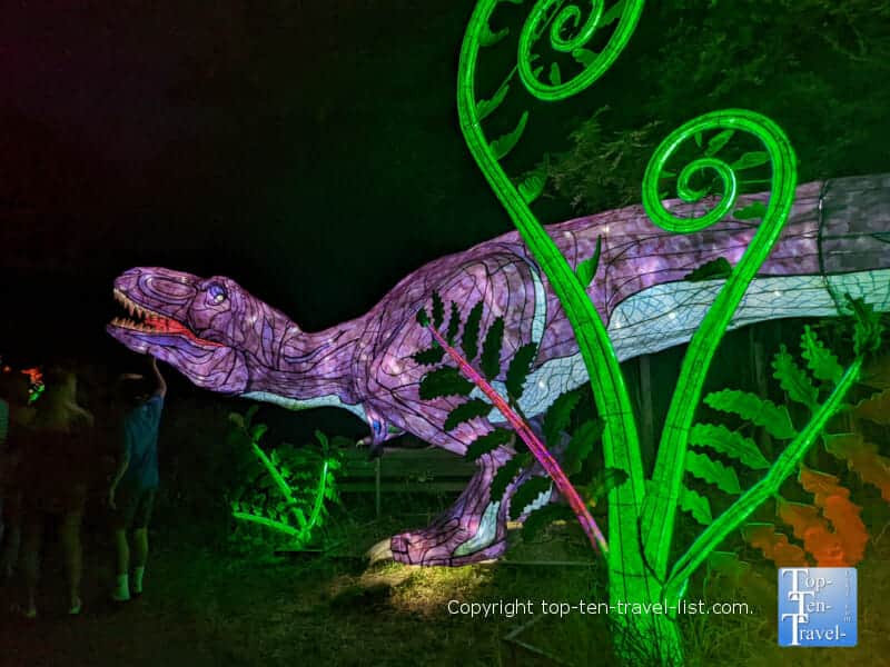 Dinosaur display at the Asian Lantern Festival at the Pittsburgh Zoo