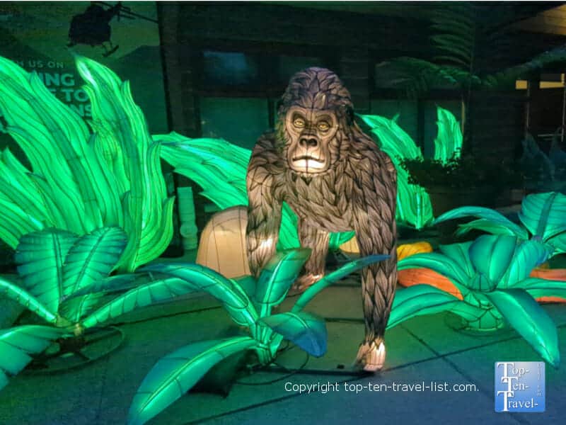 Gorilla display at the Pittsburgh Zoo Asian Lantern Festival