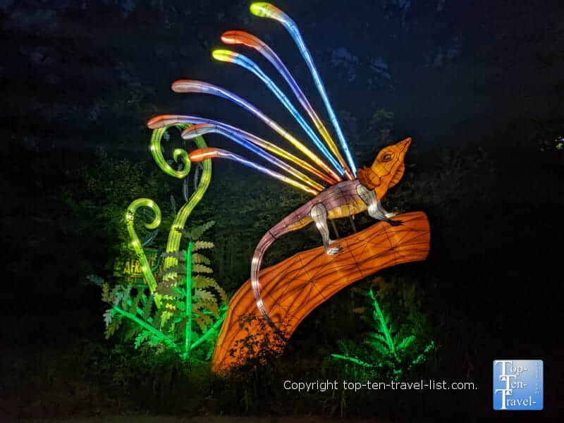 Lizard display at the Pittsburgh Zoo Asian Lantern Festival