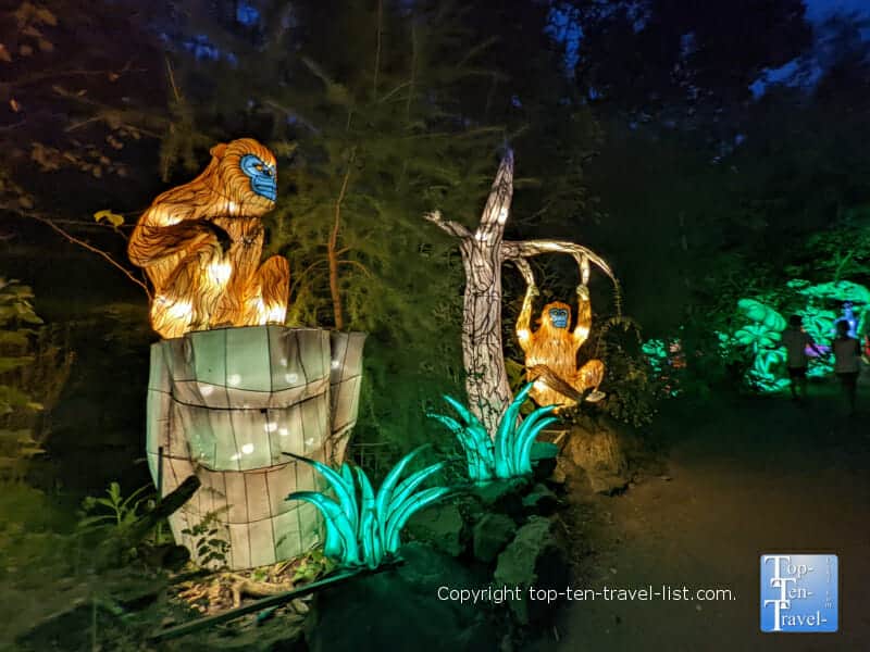 Monkey display at the Pittsburgh Zoo Asian Lantern Festival