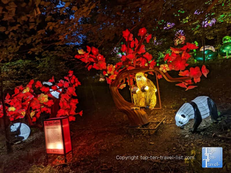 Panda bear display at the Pittsburgh Zoo Asian Lantern Festival