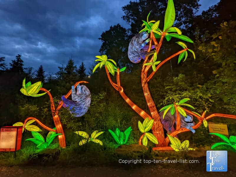 Sloth display at the Pittsburgh Zoo Asian Lantern Festival