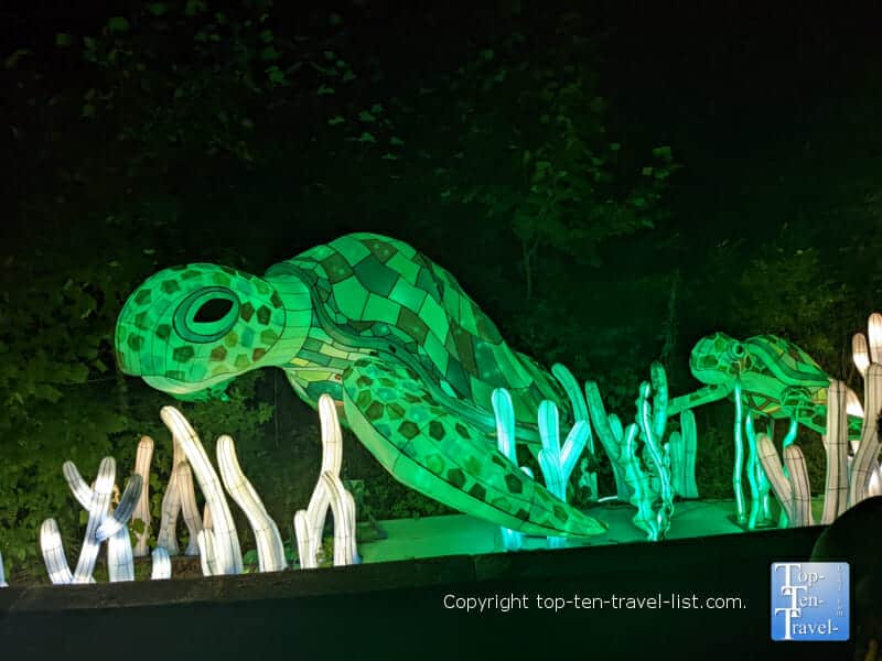 Turtle display at the Pittsburgh Zoo Asian Lantern Festival