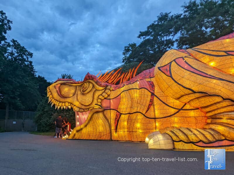 Walk thru dinosaur at the Asian Lantern Festival at the Pittsburgh Zoo