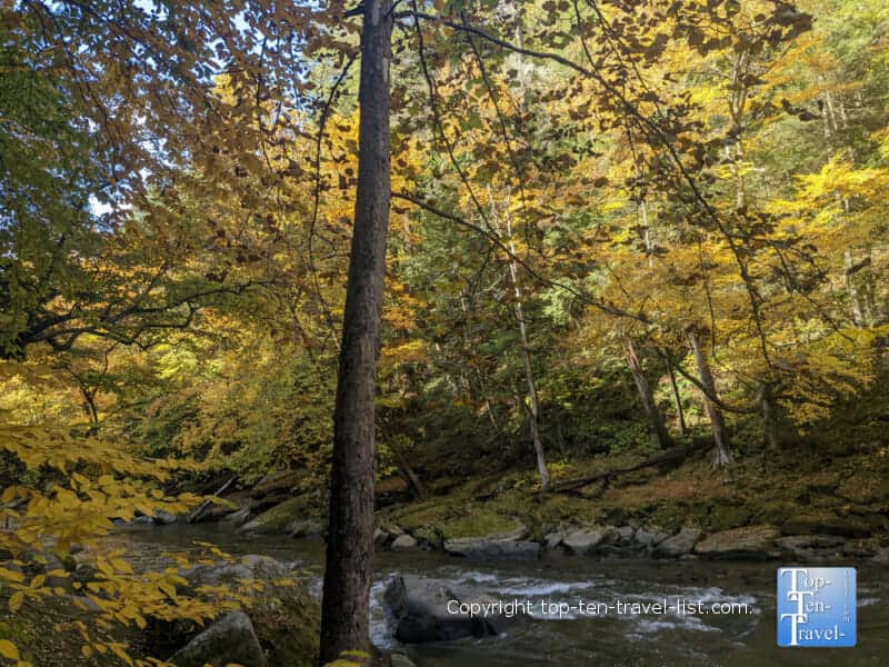 Colorful fall foliage at McConnells Mill State Park in Lawrence County, PA
