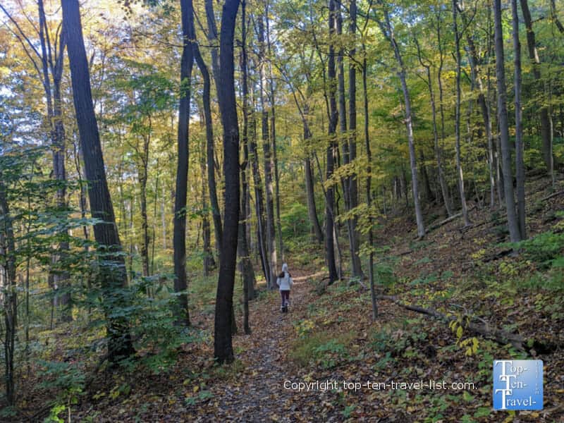 Autumn walk at Tom's Run Nature Preserve in Sewickley, PA