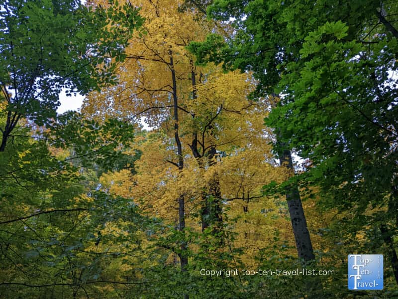 Leaf peeping at Robin Hill Park in Coraopolis, Pennsylvania 