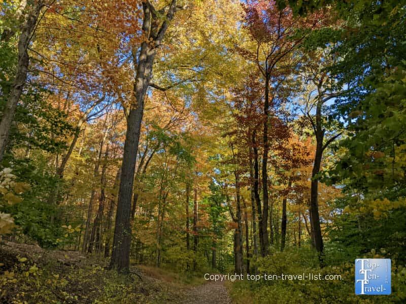Fall foliage at Moon Park near Pittsburgh