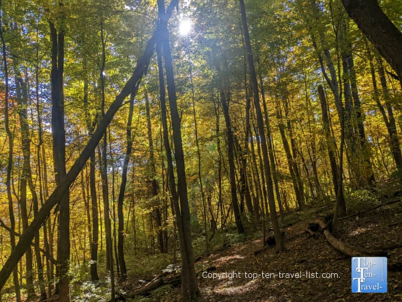 Autumn leaf peeping at Tom's Run Nature Reserve in Sewickley, Pennsylvania 