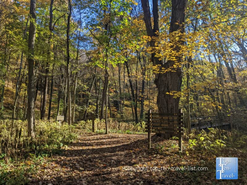 Autumn walk along the Hells Hollow trail at McConnells Mill State Park in Pennsylvania