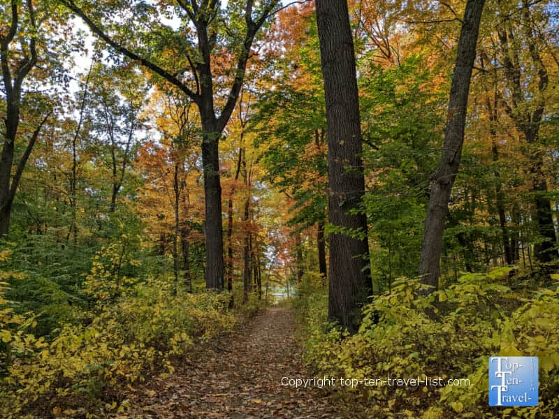 Beautiful fall color at Moon Park, a suburb of Pittsburgh