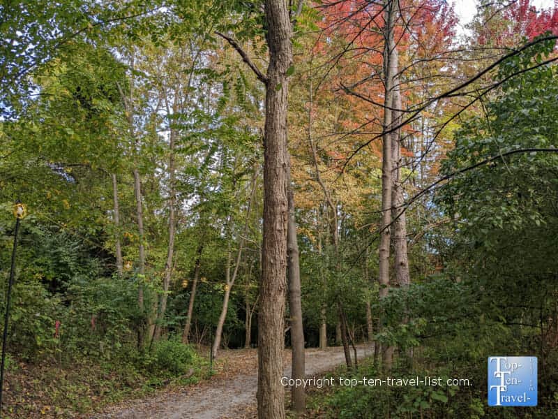 Fall color nature walk at the Pittsburgh Zoo and PPG Aquarium 