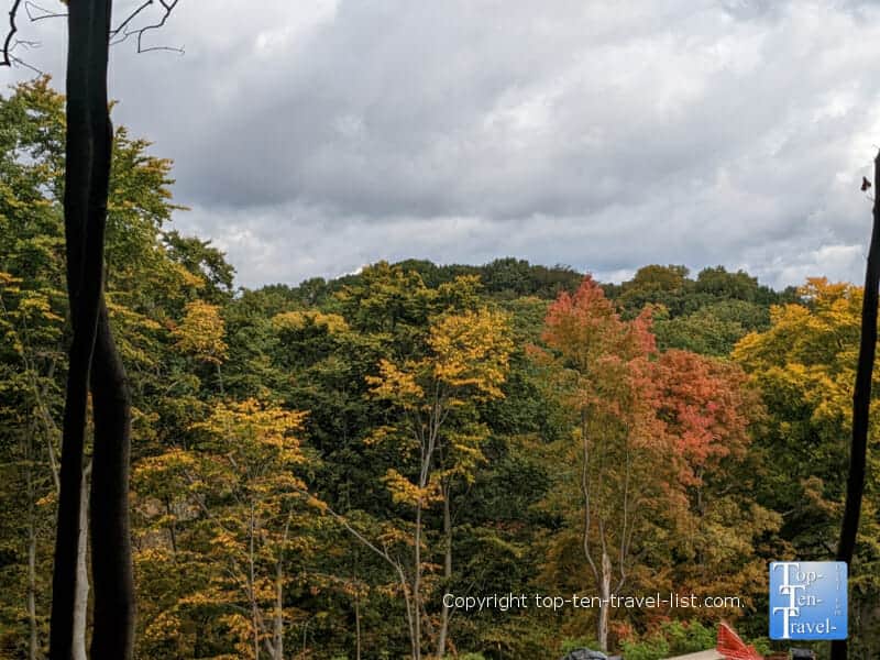 Colorful fall foliage at Frick Park in Pittsburgh, Pennsylvania 