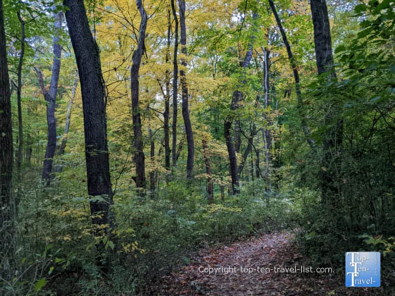 Pretty fall foliage walk at Robin Hill Park in Coraopolis, Pennsylvania 