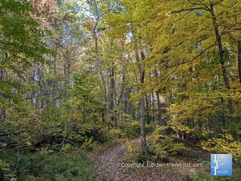 Autumn walk on the Moon Park trail near Pittsburgh