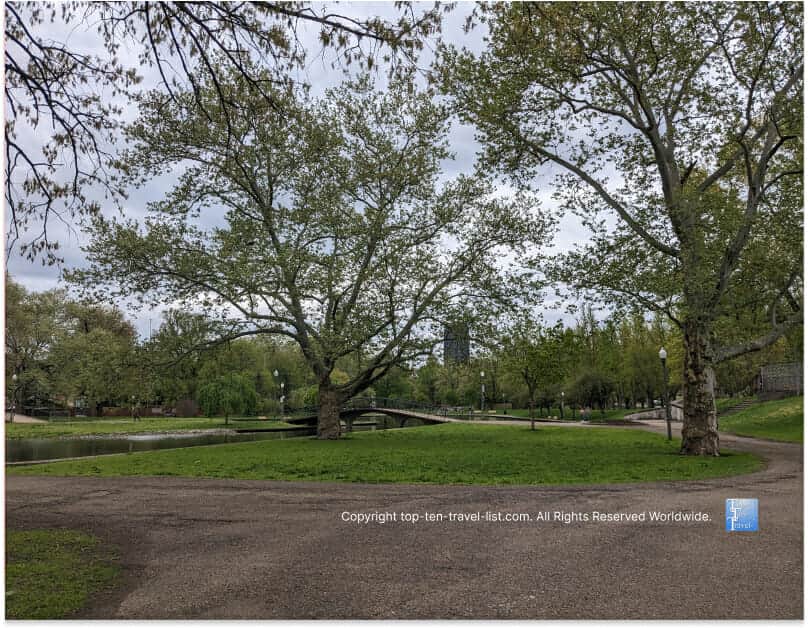 Leafy trees at Allegheny Commons in Pittsburgh 
