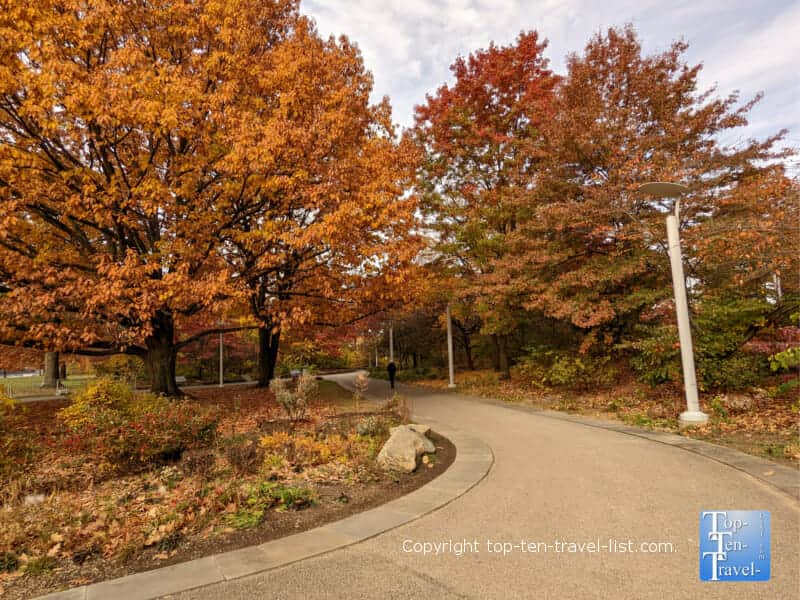 Fall foliage at Point State Park in Pittsburgh