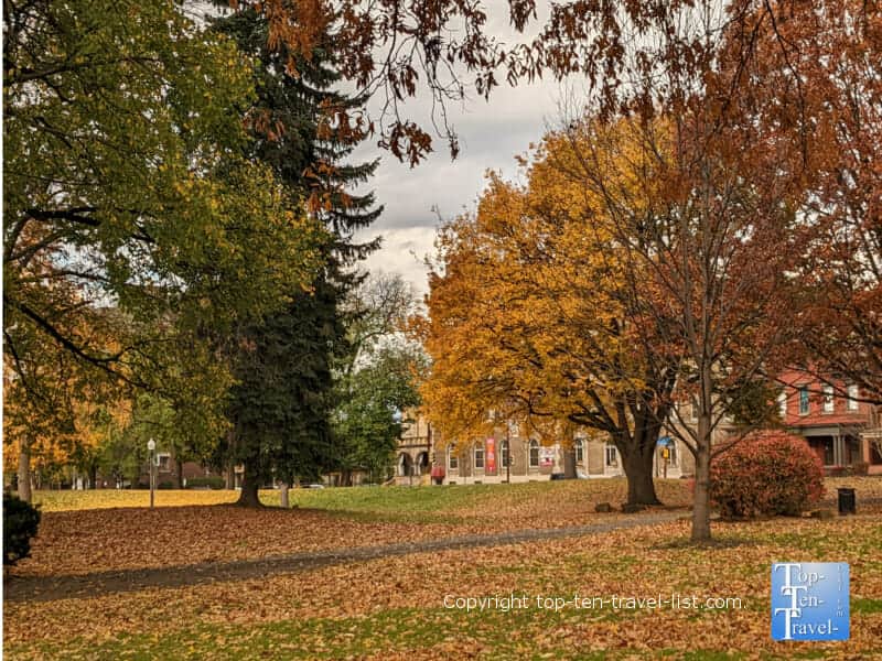 Bright yellow foliage at Allegheny Commons Park in Pittsburgh