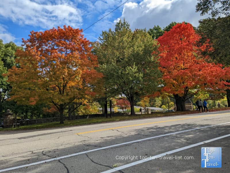 Fall foliage at Frick Park in Pittsburgh 