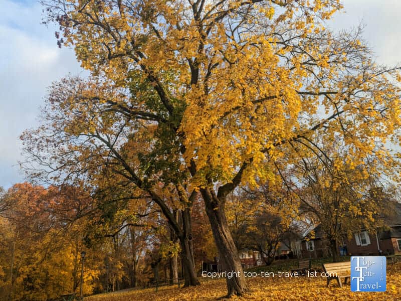 Bright autumn foliage at Robin Hill park in Coraopolis, Pennsylvania 