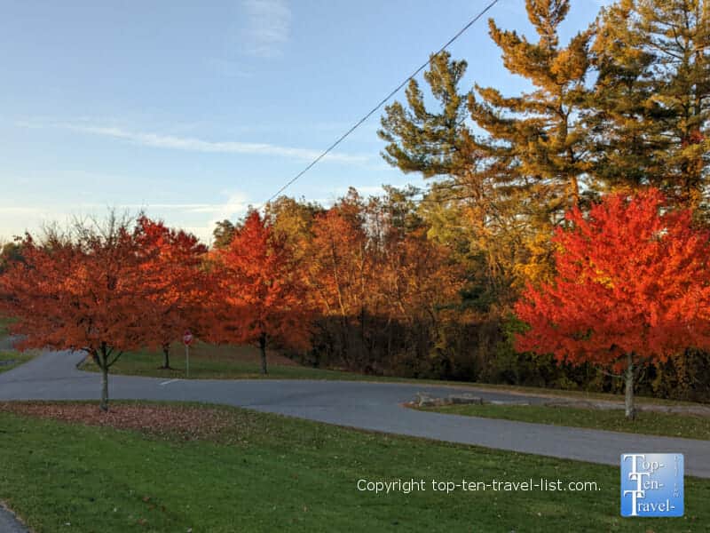 Bright red fall foliage at Moon Park near Pittsburgh 